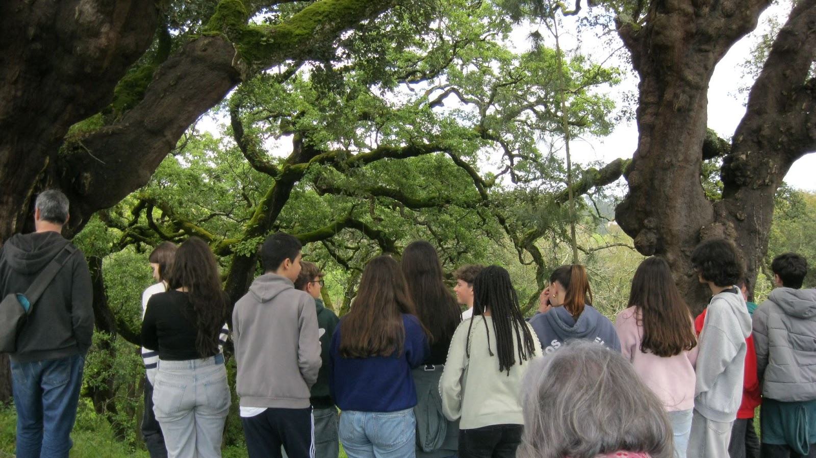 Ano de 24|25 no EDxperimentar II